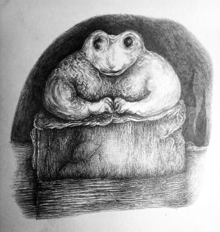 Einsame Kröte, 1977, Bleistiftzeichnung